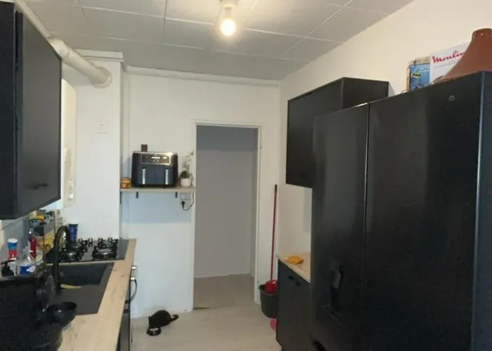 Appartement Bordeaux Cosy